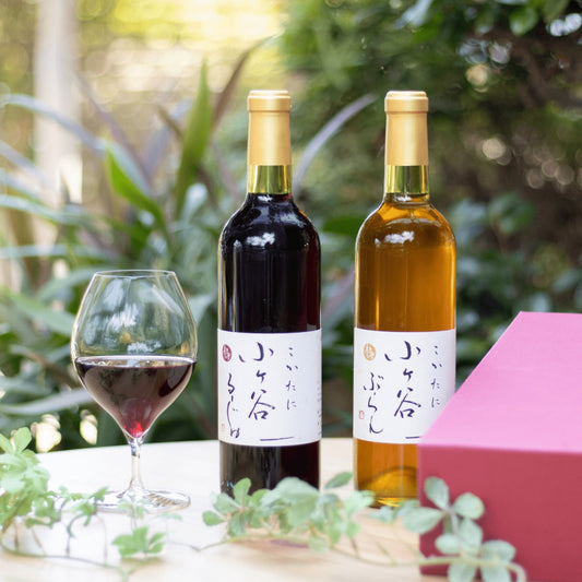 【通常版】ギフトセット